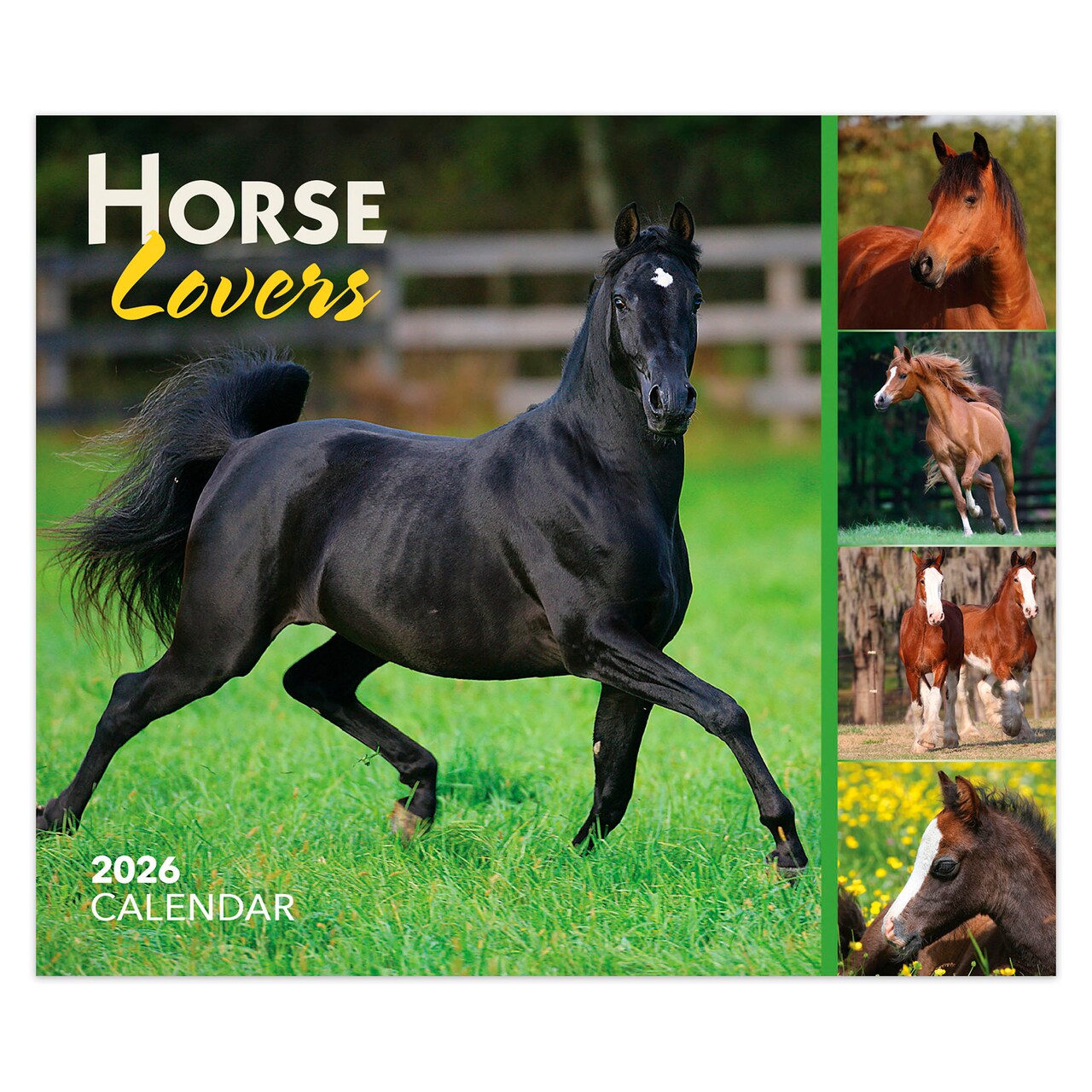 Horse Lovers | 2026 6 x 5 Inch Daily Desktop Box Calendar | New Page Every Day